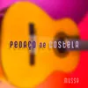 Pedaço de Costela