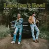 About Love Isn't Real (with Leah Marie Mason) Song