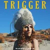 About Trigger Song