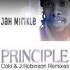 Principle J.Robinson Steppas Remix