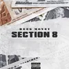 About Section 8 Song
