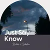 About Just Say Know Song