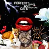 Close To Me Perfect As Cats Version