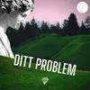 Ditt Problem