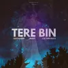 About Tere Bin Song