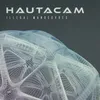 What’s That Do Hautacam vs Tron