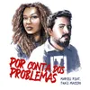 About Por Conta Dos Problemas Song