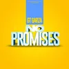 About No Promises Song