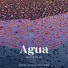 About Agua (Sound of Us) Song