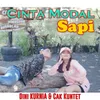 About Cinta Modal Sapi Song