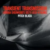 About Transient Transmission Adrian Sherwood's Delta B(0)=B Remix Song