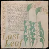 About Last Leaf Song