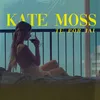 About Kate Moss Song