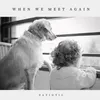About When We Meet Again Song