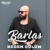 About Neden Gülüm Song