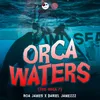 About Orca Waters Song