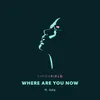 About Where Are You Now Song