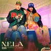 About N.E.L.A REMIX Song