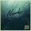 Numb Jess Bays Remix