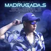 About Madrugadas Sombrias Song