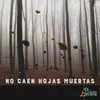 No caen hojas muertas