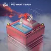 About You Want It Back Song