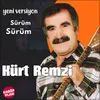 About Sürüm Sürüm Yeni Versiyon Song