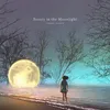 Beauty in the Moonlight
