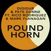 Pound Horn