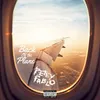 About Back of the Plane Song