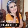 About BOJO TOBAT Song