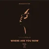 Where Are You Now VIP Instrumental