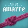 About Amarre Song