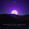 About Walking In The Moonlight Song