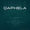 About Qaphela Song