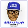 About Ubaba Ka Aaliyah (Malcolm X) Song