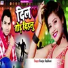 About DIL TOD DIHALU Song