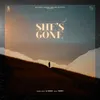 About She's Gone Song