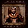 About Yamemeza Inkosi Song