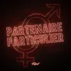 About Partenaire Particulier Song