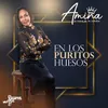 About En los Puritos Huesos Song