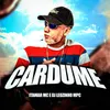 About Cardume Song