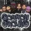 About Common Ground Song