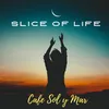 About Slice Of Life Song