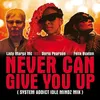 About Never Can Give You Up Song