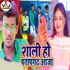 About Saali Ho Pratapagadh Aaja Song