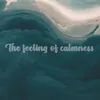 About The Feeling Of Calmness Song
