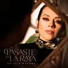 About Te Pasaste De La Raya Song