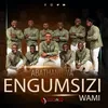 About Engumsizi Wami Song