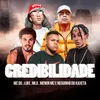 About Credibilidade Song